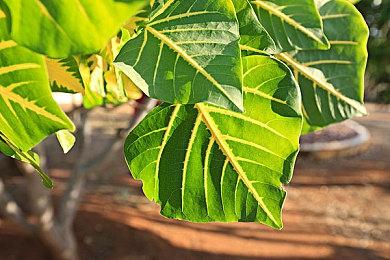 《爱氏物语》：在手绘像素的柔光中，抵达人性与AI交汇的边界