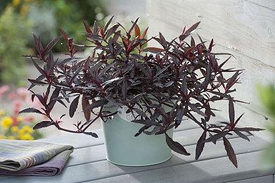 设计师谈《寂静岭2：重制版》女主和谐：对性感过度纠正