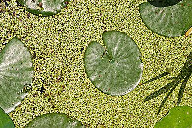 万代称正积极修复《黑魂》PC版 将尽快恢复服务器